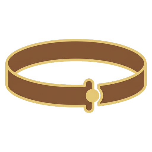 آیکون دسته بندی دسته دستبند چرم و طلا محصولات زبرا گلد
